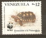 Stamps Venezuela -  GEOCHELONE   CARBONARIA