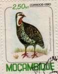 Stamps Mozambique -  francolinus afez swynneztoni