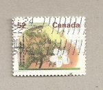 Stamps Canada -  Manzana Gravenstein