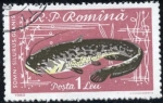 Stamps Dominican Republic -  
