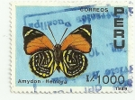 Stamps Peru -  Mariposas del Peru 1989