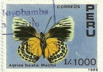 Stamps Peru -  Mariposas del Perú 1989