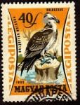 Stamps : Europe : Hungary :  Nalaszsas