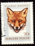 Stamps Hungary -  Dulpes Vulpes