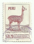 Sellos del Mundo : America : Per� : Vicuña peruana: simbolo en el escudo nacional y productora de la mas fina lana (sello de 1962 impres