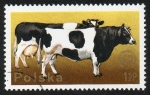 Stamps Poland -  Vacas