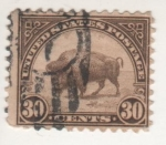 Stamps : America : United_States :  BUFALO