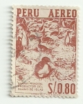 Stamps America - Peru -  Guanay principal productor de guano de islas