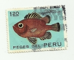 Stamps : America : Peru :  Peces varios del Perú