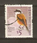 Stamps Hong Kong -  PÀJARO   COLA   LARGA
