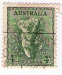Sellos de Oceania - Australia -  koala