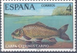 Stamps : Europe : Spain :  ESPAÑA 1977_2406 Fauna Hispánica. Peces continentales españoles. Scott 2034