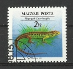 Sellos de Europa - Hungr�a -  Reptiles.