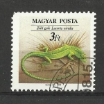 Stamps Hungary -  Reptiles.
