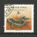 Stamps Hungary -  Reptiles.