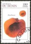 Stamps Benin -  PEZIZA SUCCOSA