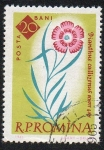Stamps Romania -  Flor