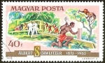 Stamps Hungary -  ALBERT SCHWEITZER