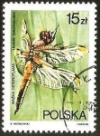 Stamps Poland -  LIBELULA QUADRIMACULATA