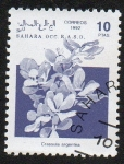 Stamps Morocco -  Sáhara Occidental - Árbol de jade
