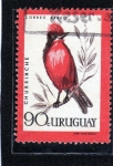 Stamps : America : Uruguay :  aves