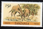 Sellos de Africa - Tanzania -  Jirafas