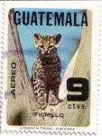 Sellos de America - Guatemala -  Conservación Fauna Salvaje