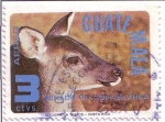 Stamps : America : Guatemala :  Conservación Fauna Salvaje