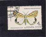 Sellos de Europa - Rusia -  Mariposa