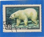 Stamps Russia -  Oso Polar