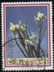 Stamps Italy -  Florentini Iris