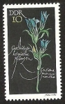 Stamps Germany -  DDR - GENTIANA