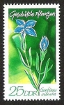 Stamps Germany -  DDR - GENTIANA CILIATA
