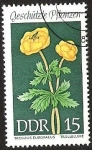 Sellos de Europa - Alemania -  DDR - TROLLIUS EUROPAEUS