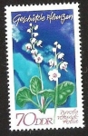 Stamps Germany -  DDR - PYROLA ROTUNDIFOLIA