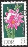 Stamps Germany -  DDR - EPIPHYLLUM 