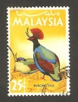 Stamps Malaysia -  ave burong siul