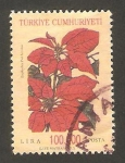Stamps Turkey -  flor euphorbia pulcherrima