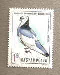 Stamps Hungary -  Paloma