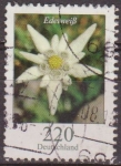 Stamps Germany -  ALEMANIA 2005 Scott 2322 Sello Flora Flor Edelweiss 220 Usado  Michel 2547Allemagne Duitsland German