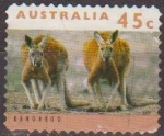 Stamps : Oceania : Australia :  AUSTRALIA 1993 Scott 1276 Sello Animales Dos Canguros adultos Two adult Kangaroos Usado Michel 1404 