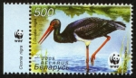 Stamps Belarus -  BIELORRUSIA -  Bosque de Belovezhskaya Pushcha / Bialowieza