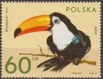 Stamps Poland -  Polonia 1972 Scott 1890 Sello Nuevo Fauna Animales de Zoo Pajaros Aves Tucan Ramphastos Toco Polska 
