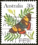 Sellos de Oceania - Australia -  CHLORINDA HIRSTREAK