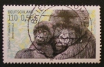 Sellos de Europa - Alemania -  gorilas