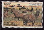 Stamps Africa - Democratic Republic of the Congo -  Parque Nacional de Virunga (fauna)