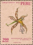 Stamps Peru -  Orquídeas del Perú: Odontoglossum cristatum.