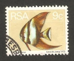 Stamps South Africa -  pez platax pinnatus