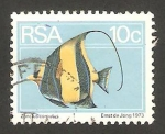 Stamps South Africa -  pez zanclus cornutus