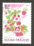 Stamps Finland -  flora, frambuesas